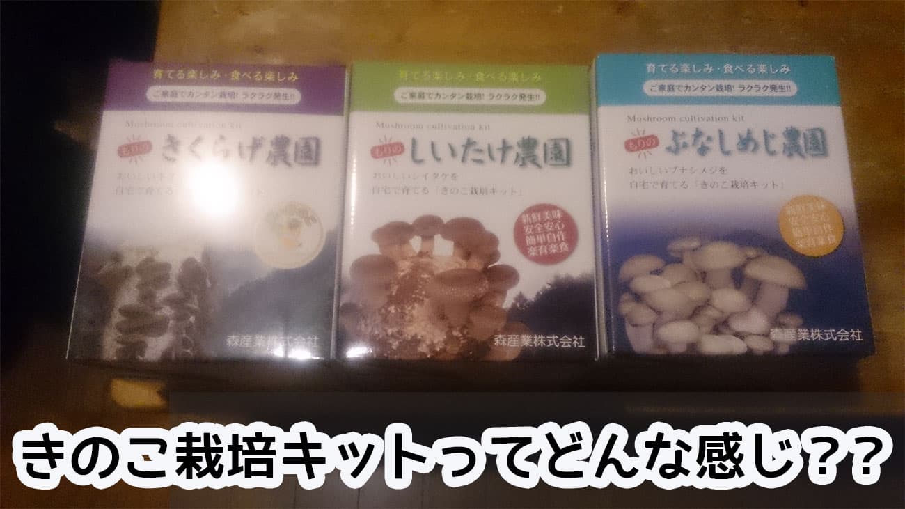 きのこ栽培キット(シイタケ、キクラゲ、しめじ)を徹底レビュー!!
